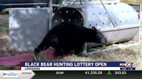 ww louisianalottery.com|Black Bear Hunting Lottery .